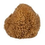 Honeycomb е сметана за кралицата на естествените гъби от biobabycare.bg