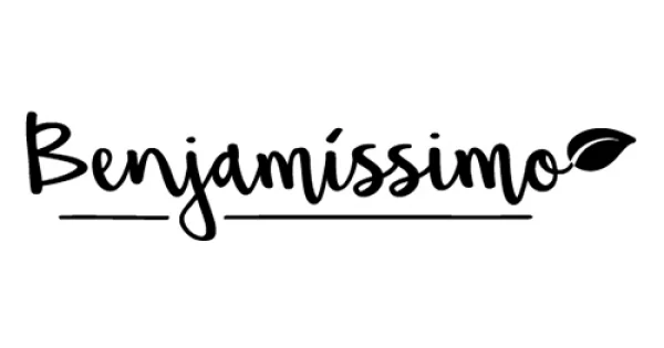 Начало 132 benjamissimo logo